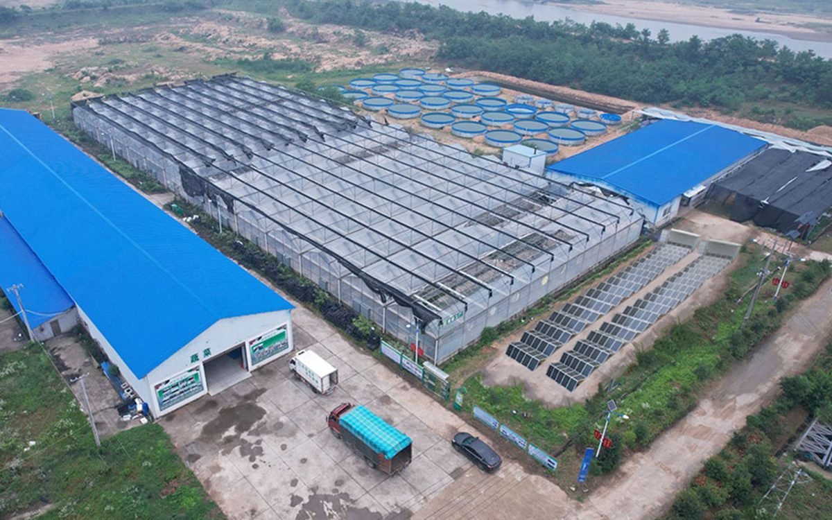 Industrial park and factory microgrid application